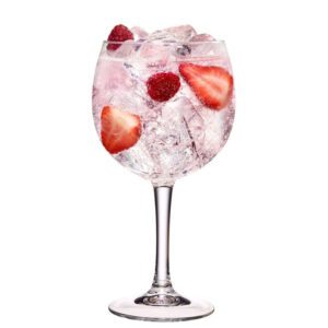 Copa para Gin Ginebra 600ml Set de Copas Gin Nadir