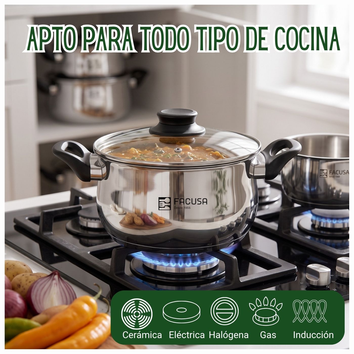 Juego de Ollas Valencia Facusa 10 piezas + Regalo - Imagen 3